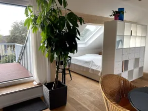 Light-flooded apartment with roof terrace - Image 2