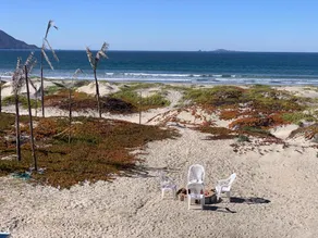 Mi Sueño Casita 2 - Directly on sandy beach - Image 5