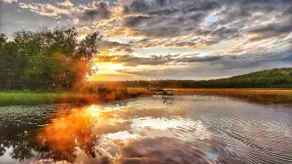Welcome to the Firefly Lake House! - Image 5