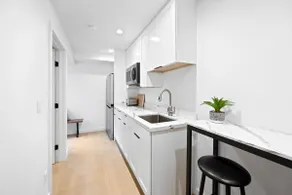 Newly Built Modern Luxurious Guest Suite - Image 2