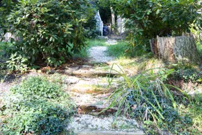 Modern Mid-Century House -Hike, Kayak, Lake Access - Image 4