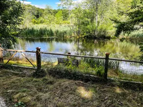 Modern Mid-Century House -Hike, Kayak, Lake Access - Image 2