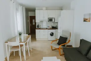 Two-bedroom ZHR1 penthouse with terrace - Image 4