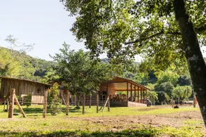 Family Retreat with Lake, Fireplace and Fire Pit - Image 4