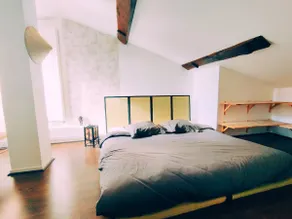 Friendly & spacious duplex in the hypercenter - Image 5