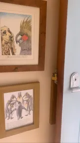 Cottage in Bovey Tracey near Dartmoor Park - Image 4