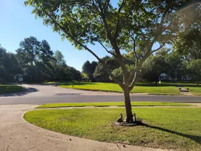 South highland One level 3 bed 2 bath large home. - Image 5