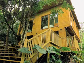 Eco Cabin in Portland Private Waterfall & Pool - Image 4
