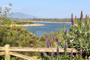 Casa de Campo Limache with Lake and Paddle Court - Image 4