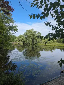 Lake Front in West Branch w/ Fire Pit 2bed 2 bath - Image 2