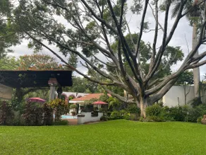 ”Casa Bienteveo” 15 minutes from Cuernavaca, 23 people - Image 5