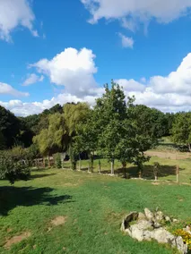 2 km from downtown, with a shared garden - Image 5