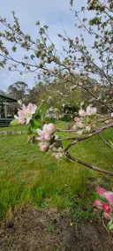 Burramere Homestead 4 bedrooms @Storm King Dam - Image 2