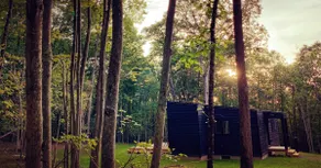 House of Four Seasons - Modern Cabin on 7 acres in Narrowsburg - dog friendly. - Image 2