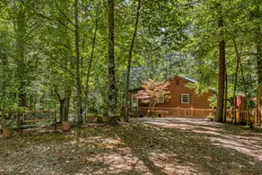 Blue Ridge Cabin: Spring into Summer - Image 5
