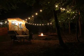 Evergreen Escape - Woodsy Artistic Retreat - Image 4