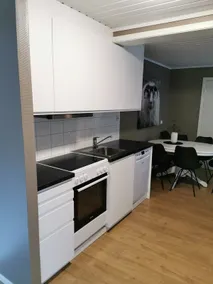 Apartment 9 at Bjorligård, with wellness center - Image 4