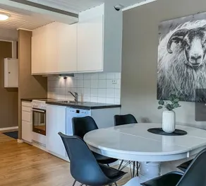 Apartment 9 at Bjorligård, with wellness center - Image 3