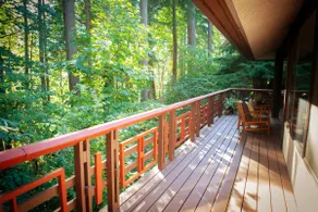 Chambers Bay House in the Trees - Image 4