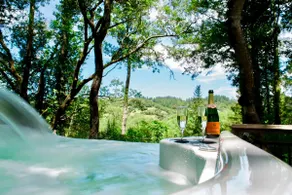 Rio Vista-River Gem With Hot Tub & Vineyard Views - Image 2