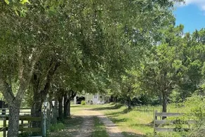 Cozy Texas Bluebonnet Country Cabin - Image 3