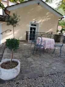 The two Lime Trees - Image 4