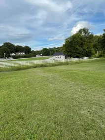 Peaceful countryside home, pets welcome - Image 3