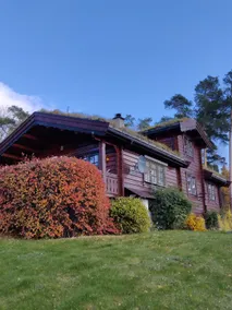 Cozy house - Dog driving and nature experience - Image 2