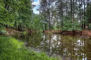 Quiet cabin in the woods, Fishing pond & Fire pit - Image 3