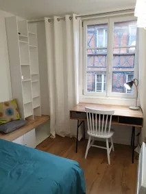 Beautiful apartment in Carmes - Image 3