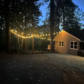 Dog-Friendly, Private Forest | The Timbers Cottage - Image 2
