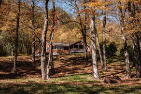 Brindlewood Sunny Upstate Escape 3BRs on 7.5 Acres - Image 2