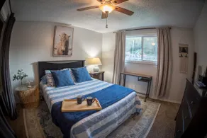 Cozy Cottage at Dragonfly Horse Ranch - Image 3