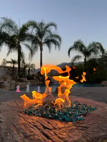 Palm Villa Garden (corona) - Image 5