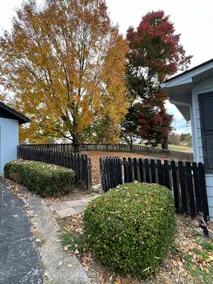 Newly Remodeled 4 bedroom - 5 min walk to downtown - Image 5