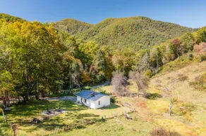 Secluded Cottage on the Farm-Blue Ridge Parkway - Image 3