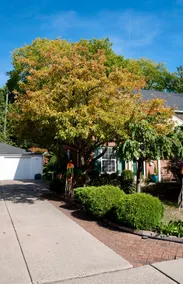 NEW! Historic Home ~ 2 Mi to Greenfield Village - Image 2