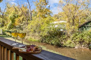 1bd/1ba 2 miles to dwntwn Asheville, hot tub. - Image 3