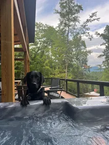 Hot Tub-Sauna-Pickleball-Views-Hikes-Fire Pit - Image 4