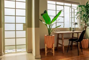Mr. W | Enjoy Condesa Parks | Brand New Apt - Image 4