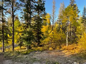 Terry Peak Ski Cabin & Private Hot Tub - Image 4