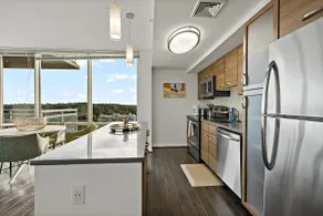 Unique | Bright | Tysons | Views - Image 5