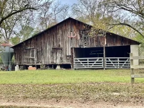 Quiet country home located minutes from GSU campus - Image 3