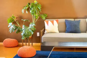 Modern Studio Apartment - Image 4