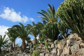 Casa Ronda - Image 5