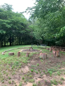 Cedar Cottage w Views/Creek on 5.5 acres - Image 4
