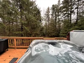 Mount Snow Ski Chalet - Image 3