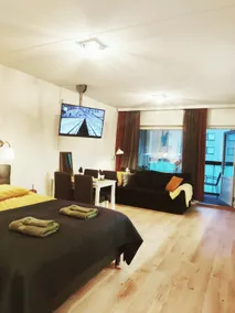 Joutjärven Studio Apartment - Image 3