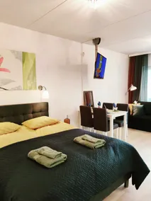 Joutjärven Studio Apartment - Image 5