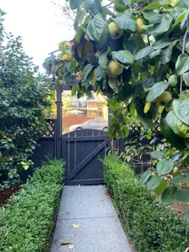 Private 1Br garden suite, close to everything. - Image 2